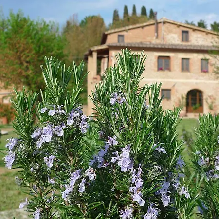 Appartamento Fattoria Le Pietre Vive Di