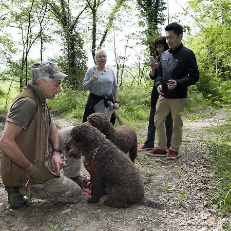Fattoria Le Pietre Vive Di Appartamento Monteaperti (Siena)