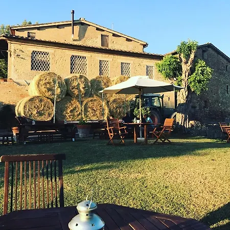 Appartamento Fattoria Le Pietre Vive Di Monteaperti (Siena)