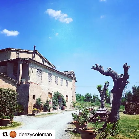 Fattoria Le Pietre Vive Di