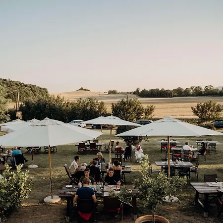 Διαμέρισμα Fattoria Le Pietre Vive Di Monteaperti (Siena)